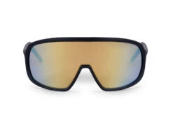 Carnac Para Sunglasses / Matt Black Frame & Gold Revo Lens