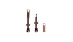 Selcof Tubeless Presta Valves Set -GearNest Sale Store WSSELTV P4